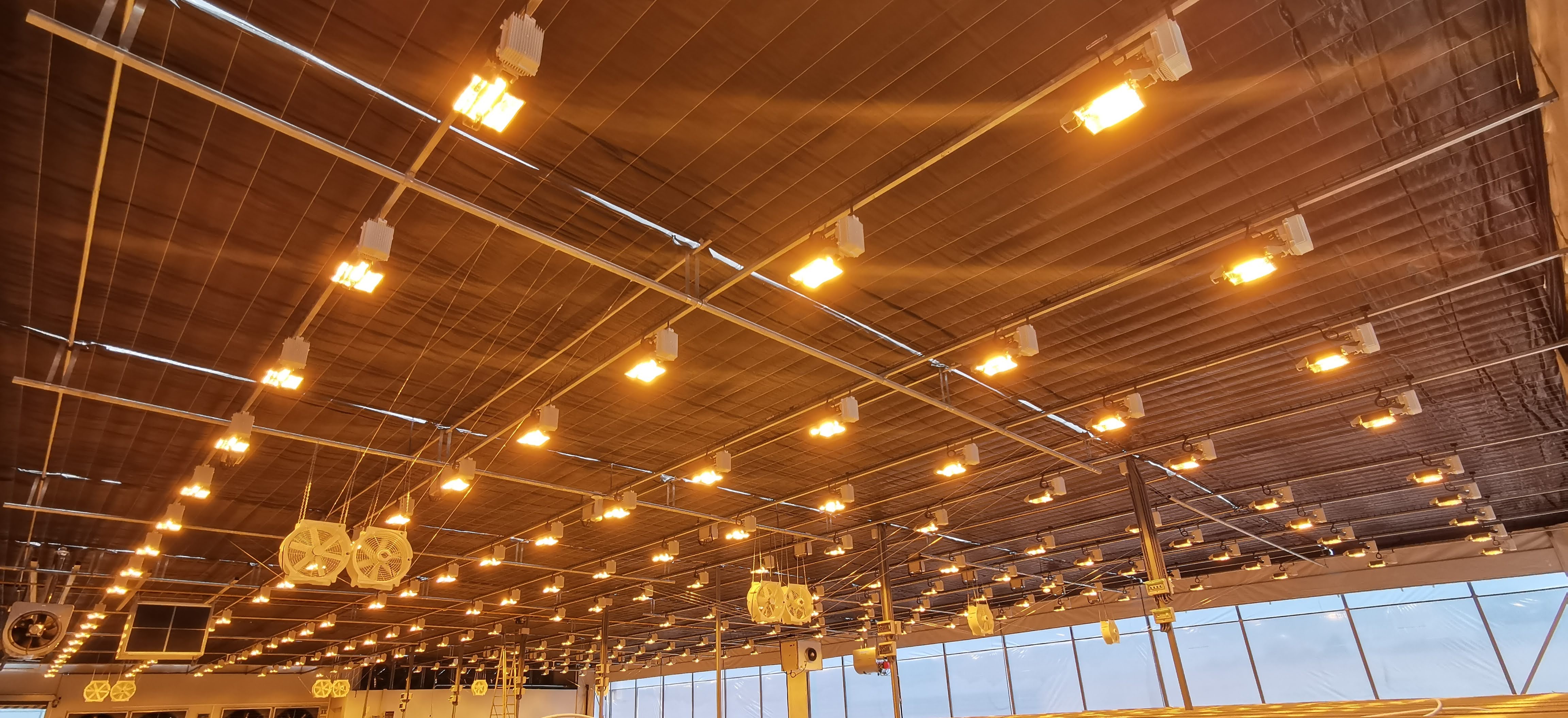 Plafond d'une installation de culture avec une grille de luminaires HPS allumés et des ventilateurs